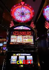 ckbet Brasília - Betting Features